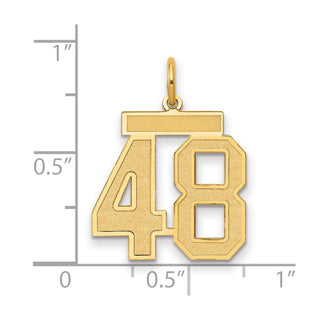 14k Yellow Gold Medium Satin Number 48 Charm