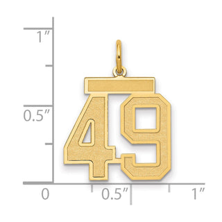 14k Yellow Gold Medium Satin Number 49 Charm