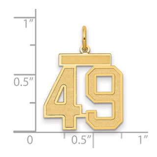 14k Yellow Gold Medium Satin Number 49 Charm