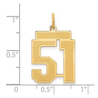 14k Yellow Gold Medium Satin Number 51 Charm