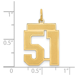 14k Yellow Gold Medium Satin Number 51 Charm