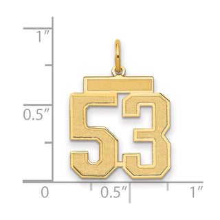 14k Yellow Gold Medium Satin Number 53 Charm