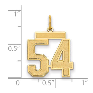 14k Yellow Gold Medium Satin Number 54 Charm
