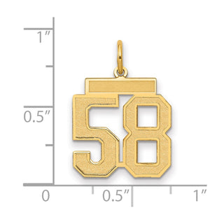 14k Yellow Gold Medium Satin Number 58 Charm