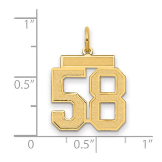 14k Yellow Gold Medium Satin Number 58 Charm