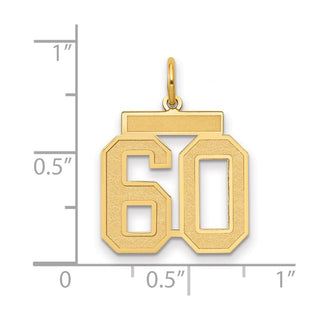 14k Yellow Gold Medium Satin Number 60 Charm