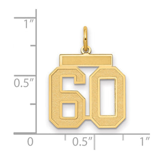 14k Yellow Gold Medium Satin Number 60 Charm