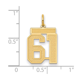 14k Yellow Gold Medium Satin Number 61 Charm
