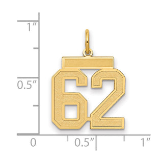 14k Yellow Gold Medium Satin Number 62 Charm