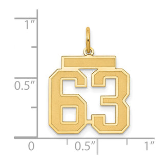 14k Yellow Gold Medium Satin Number 63 Charm