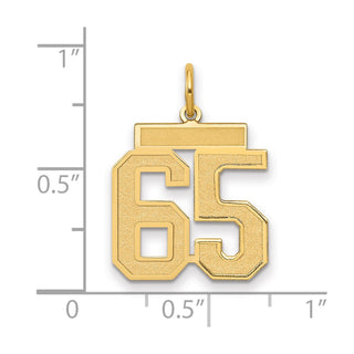 14k Yellow Gold Medium Satin Number 65 Charm