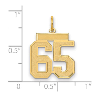 14k Yellow Gold Medium Satin Number 65 Charm