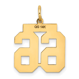 14k Yellow Gold Medium Satin Number 66 Charm
