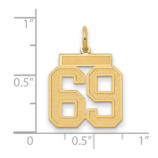 14k Yellow Gold Medium Satin Number 69 Charm