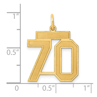14k Yellow Gold Medium Satin Number 70 Charm
