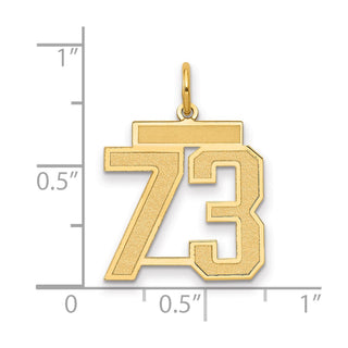 14k Yellow Gold Medium Satin Number 73 Charm