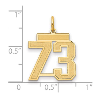 14k Yellow Gold Medium Satin Number 73 Charm