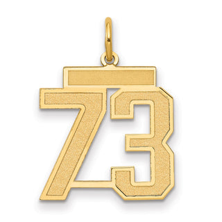 14k Yellow Gold Medium Satin Number 73 Charm