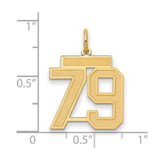 14k Yellow Gold Medium Satin Number 79 Charm