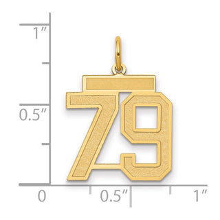 14k Yellow Gold Medium Satin Number 79 Charm