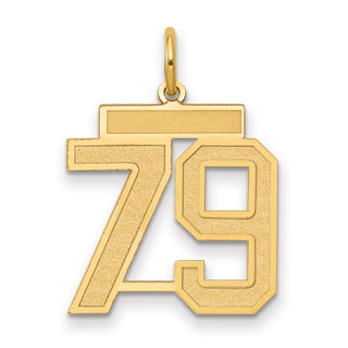14k Yellow Gold Medium Satin Number 79 Charm
