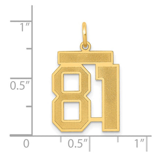 14k Yellow Gold Medium Satin Number 81 Charm