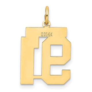 14k Yellow Gold Medium Satin Number 91 Charm