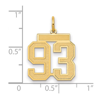 14k Yellow Gold Medium Satin Number 93 Charm