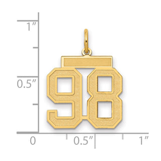 14k Yellow Gold Medium Satin Number 98 Charm