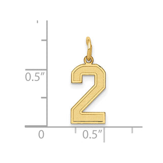 14k Yellow Gold Small Satin Number 2 Charm