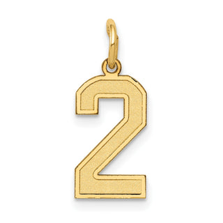 14k Yellow Gold Small Satin Number 2 Charm
