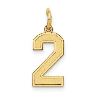 14k Yellow Gold Small Satin Number 2 Charm