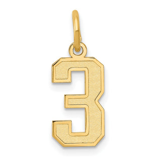 14k Yellow Gold Small Satin Number 3 Charm