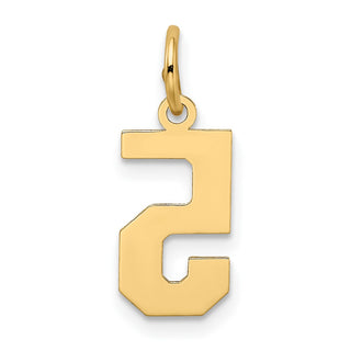 14k Yellow Gold Small Satin Number 5 Charm