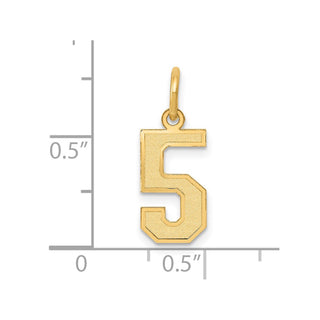 14k Yellow Gold Small Satin Number 5 Charm