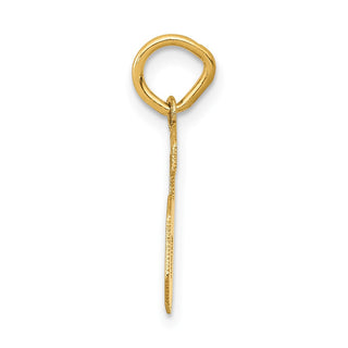 14k Yellow Gold Small Satin Number 6 Charm
