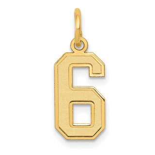 14k Yellow Gold Small Satin Number 6 Charm