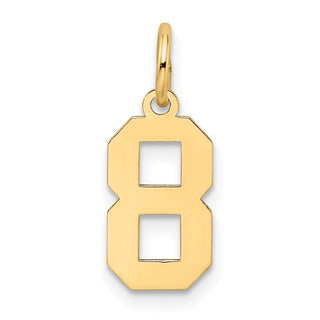 14k Yellow Gold Small Satin Number 8 Charm
