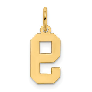 14k Yellow Gold Small Satin Number 9 Charm