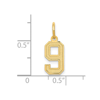 14k Yellow Gold Small Satin Number 9 Charm