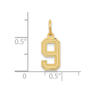14k Yellow Gold Small Satin Number 9 Charm