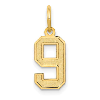 14k Yellow Gold Small Satin Number 9 Charm