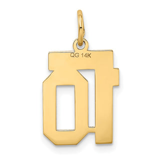 14k Yellow Gold Small Satin Number 10 Charm