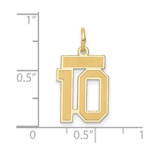 14k Yellow Gold Small Satin Number 10 Charm