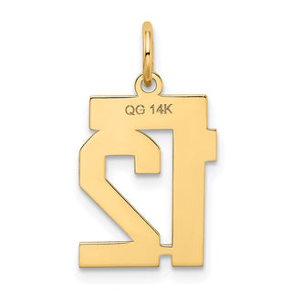 14k Yellow Gold Small Satin Number 12 Charm