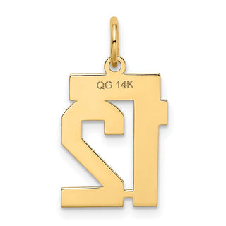14k Yellow Gold Small Satin Number 12 Charm