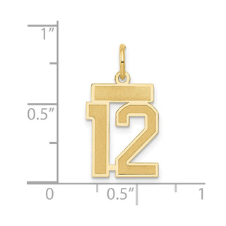 14k Yellow Gold Small Satin Number 12 Charm