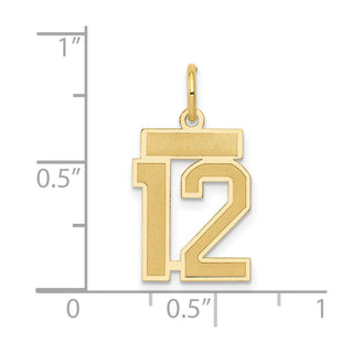 14k Yellow Gold Small Satin Number 12 Charm