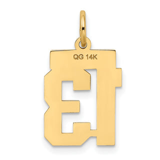 14k Yellow Gold Small Satin Number 13 Charm