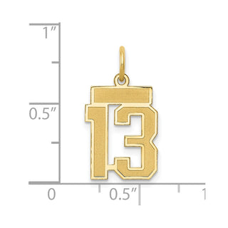 14k Yellow Gold Small Satin Number 13 Charm